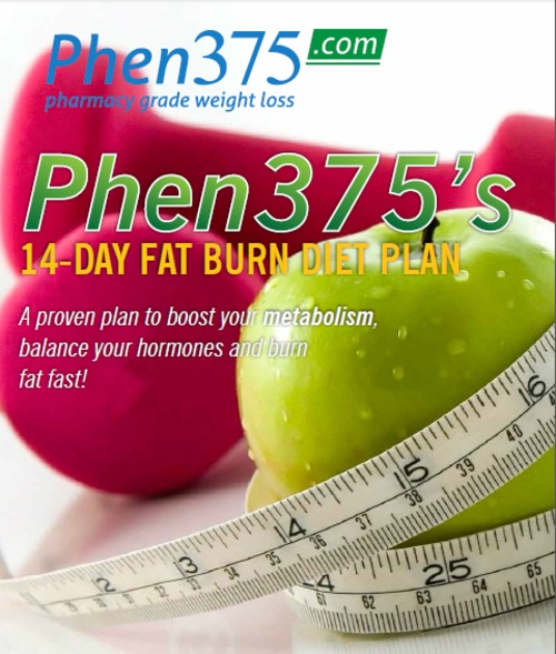 Product picture 14 Day Fat Burn Burn Diet Plan